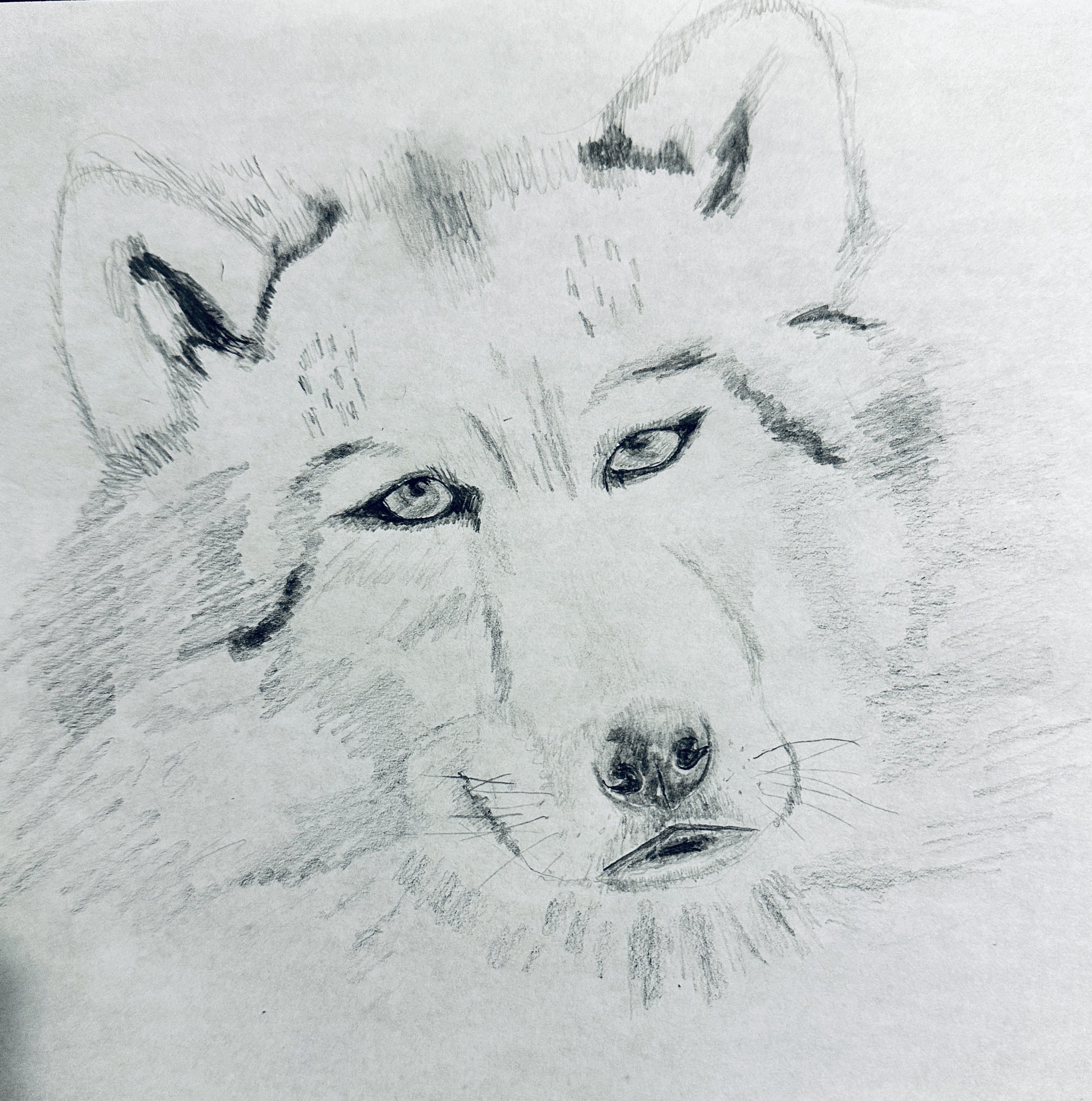 Artwork by Amy L., Louisiana