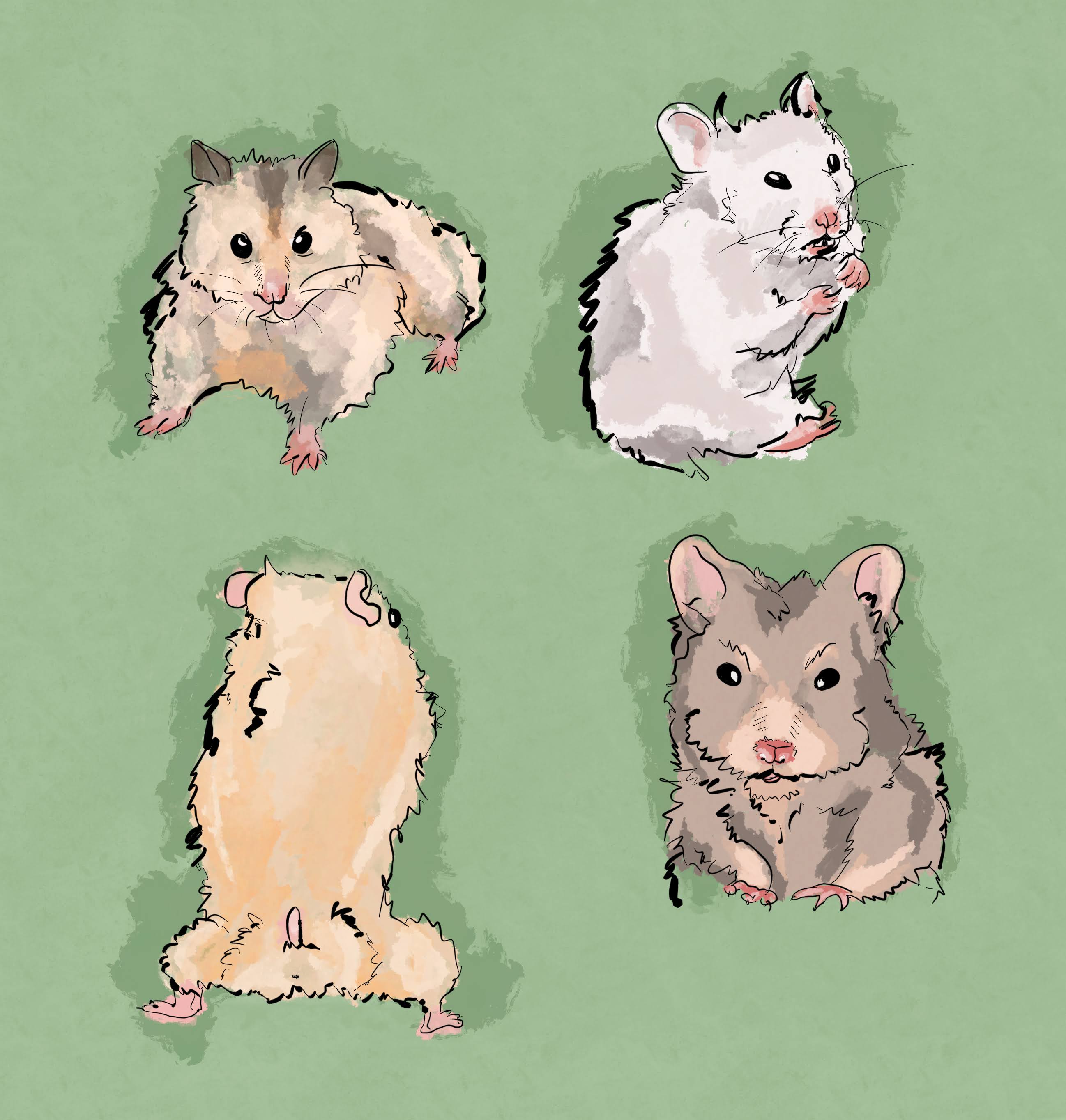 Artwork by Anna T., Washington