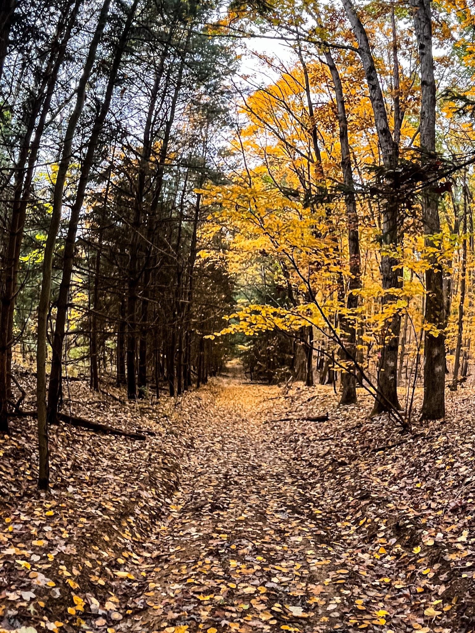 Artwork by Christina F., Pennsylvania