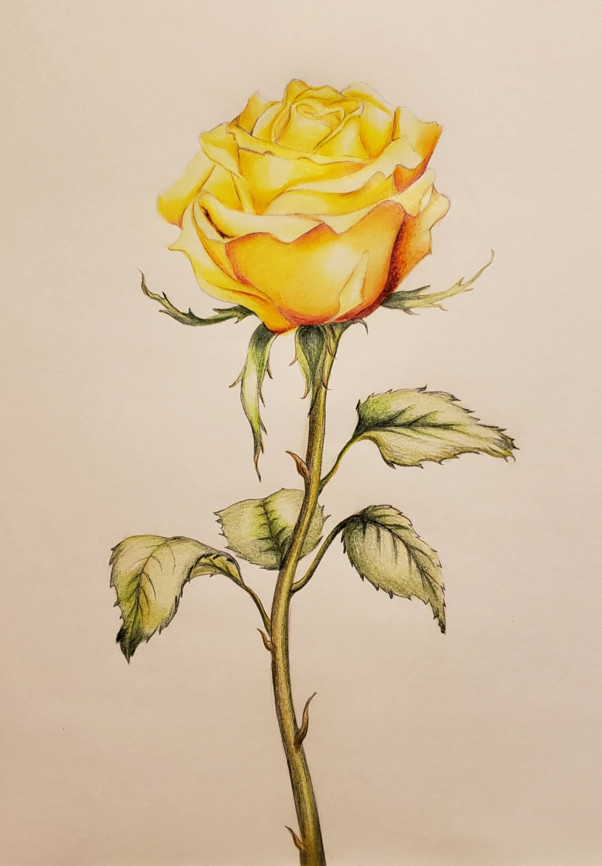 Artwork by Cynthia H., Georgia