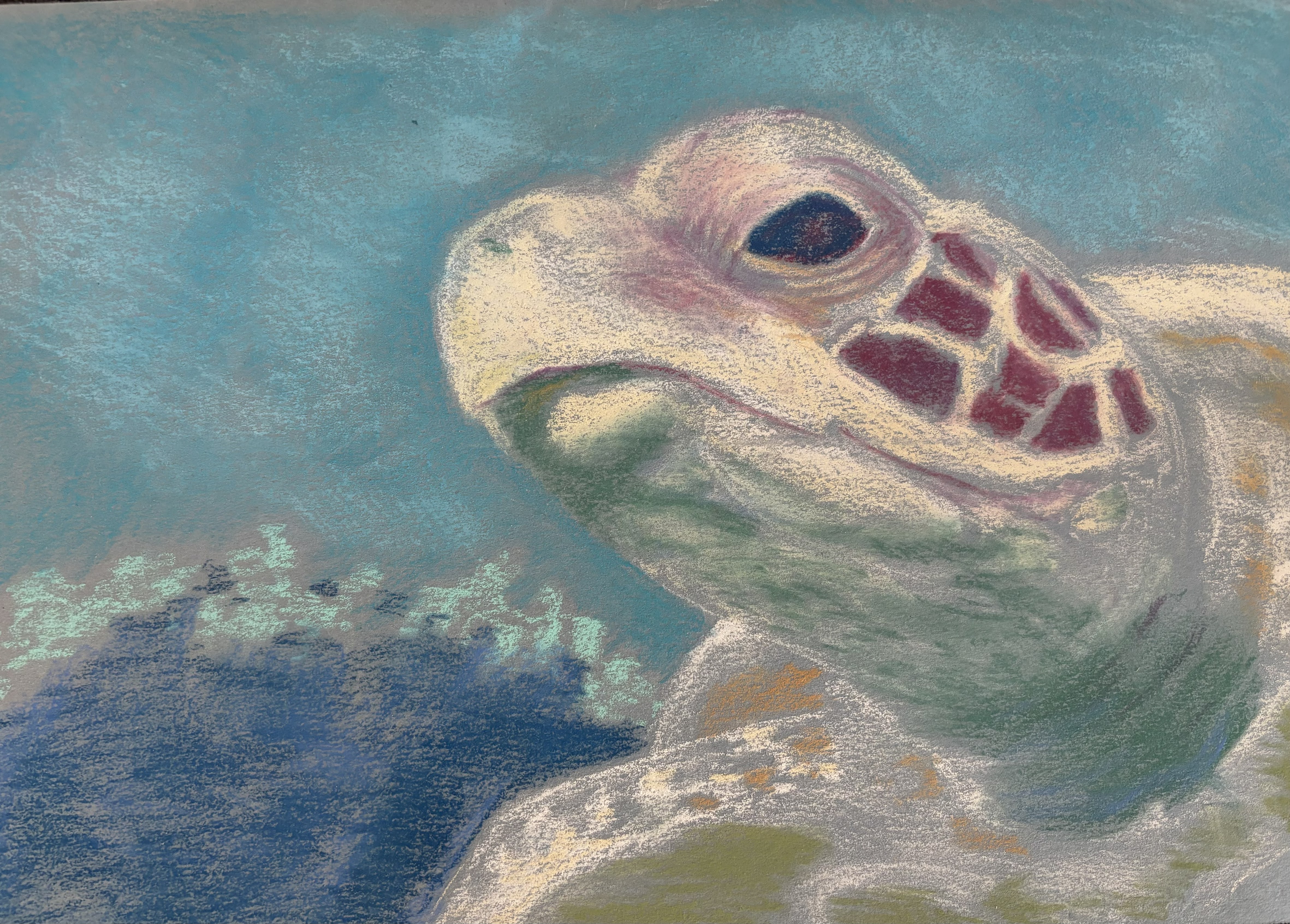 Artwork by Debora B., Arizona