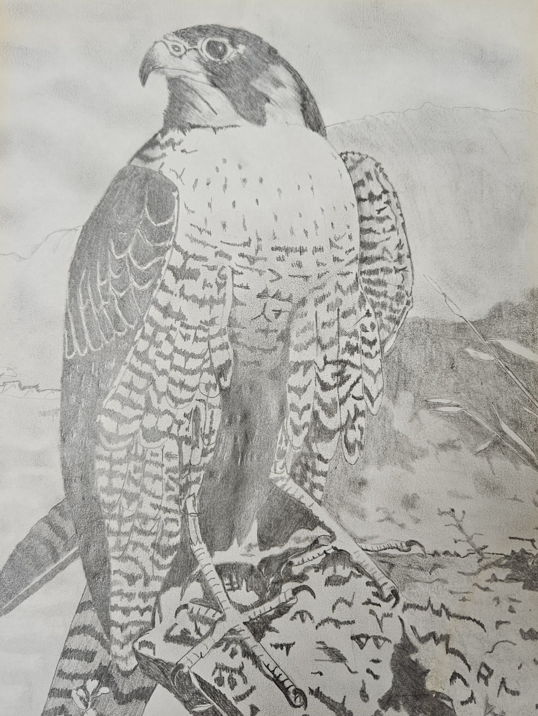 Eleanor S., Minnesota