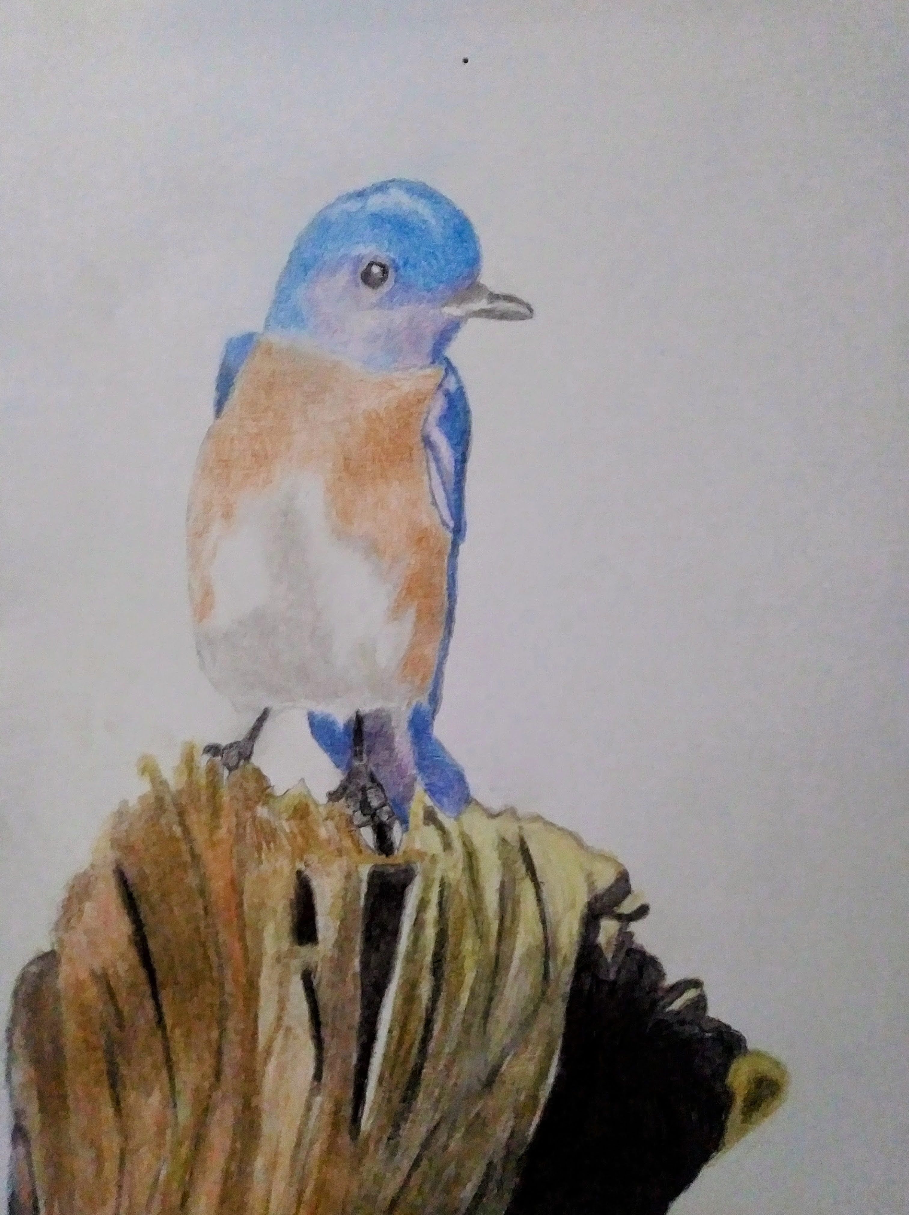 Gabrielle C., Arizona