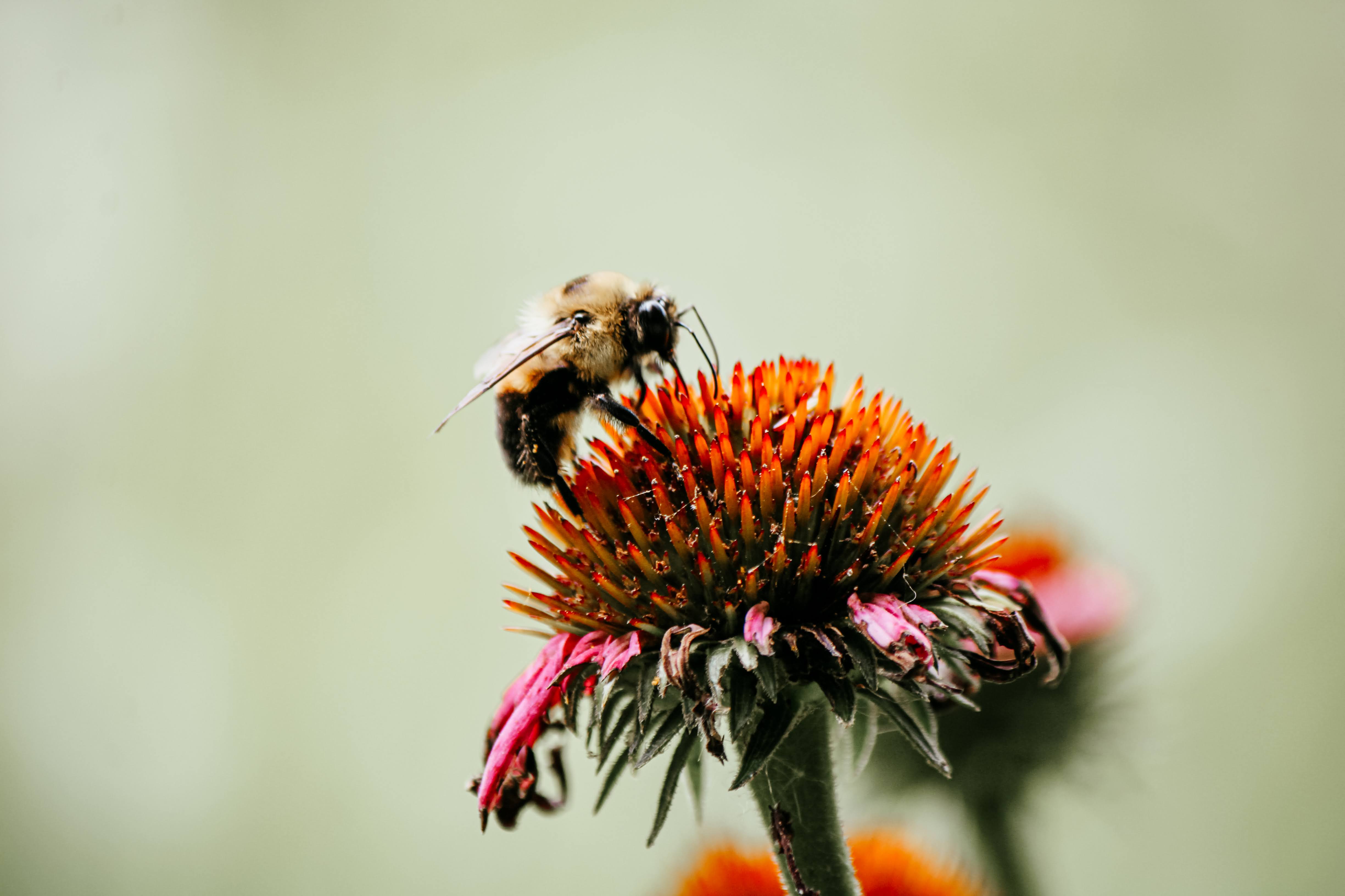 Artwork by Jordan R., Illinois