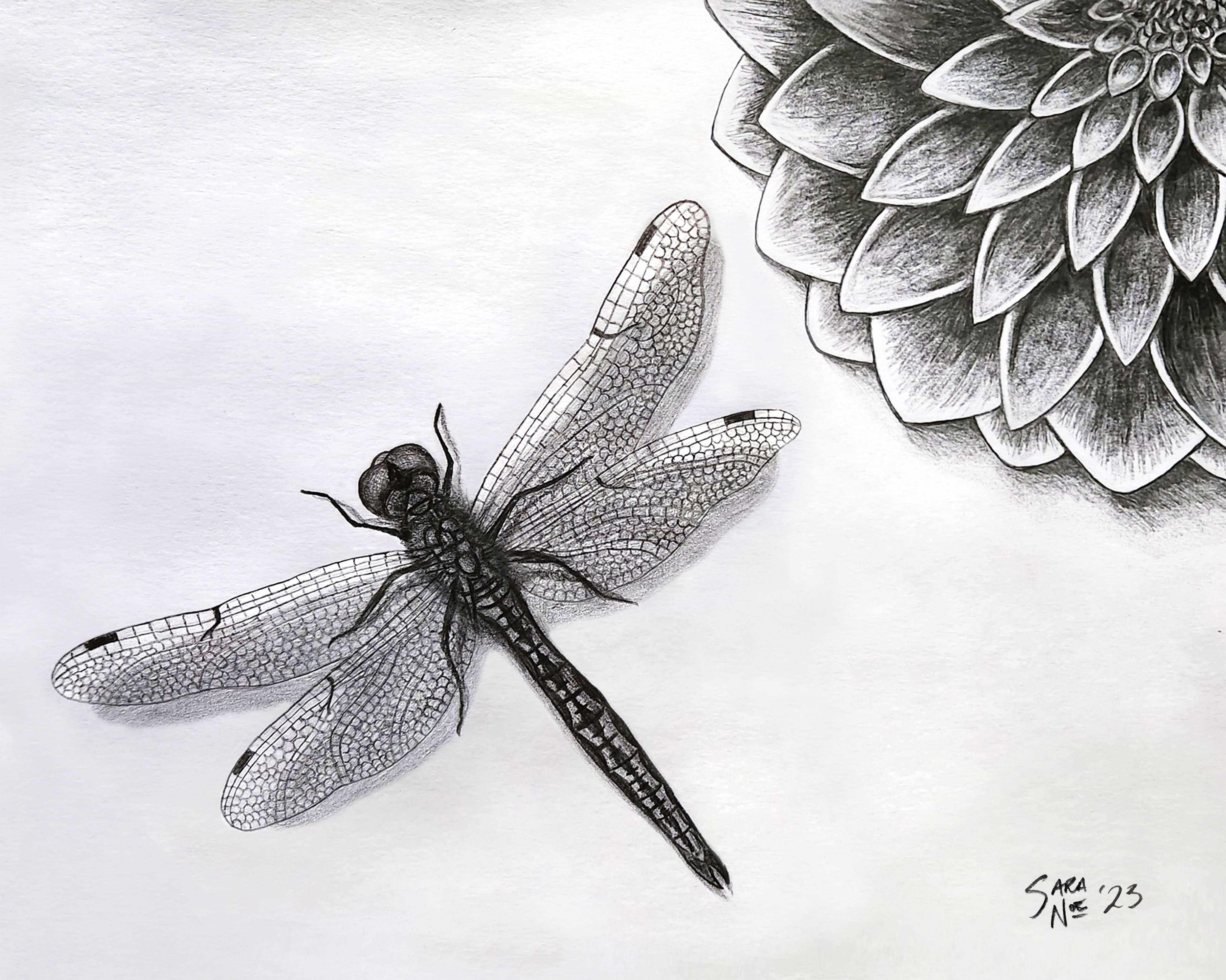 Artwork by Sara N., Indiana